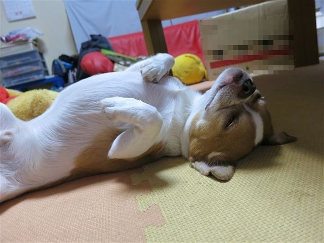 f:id:yasukazu01:20131006061104j:image