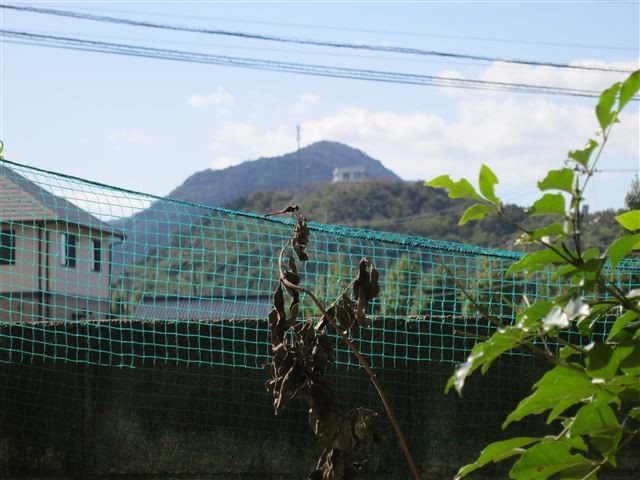 f:id:yasukazu01:20131018194939j:image
