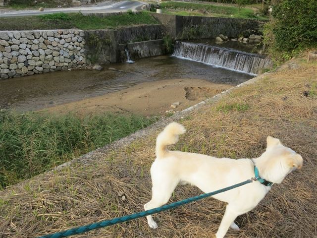 f:id:yasukazu01:20131018195744j:image