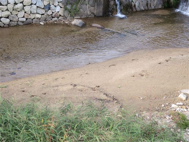 f:id:yasukazu01:20131018200357j:image