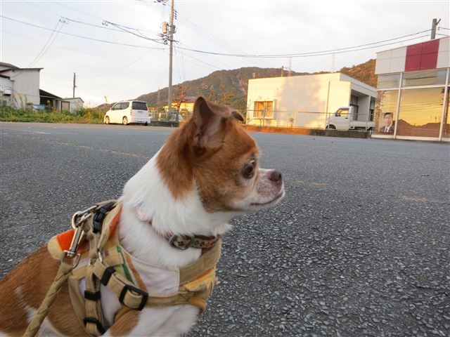 f:id:yasukazu01:20131018200913j:image