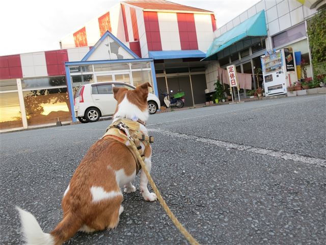 f:id:yasukazu01:20131018201013j:image