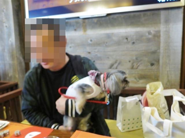 f:id:yasukazu01:20131021194818j:image
