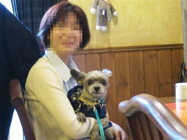 f:id:yasukazu01:20131021194958j:image