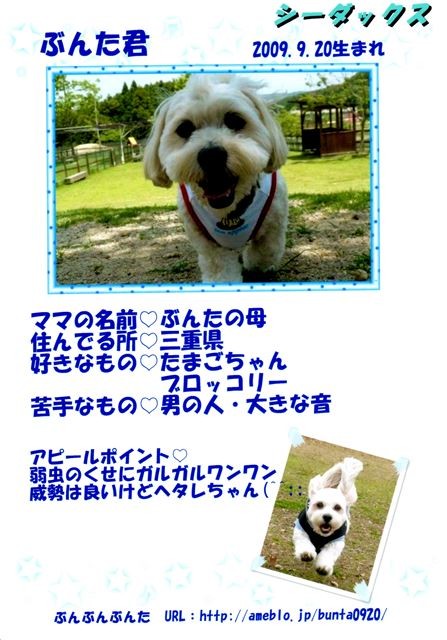 f:id:yasukazu01:20131021195614j:image