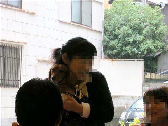 f:id:yasukazu01:20131021200102j:image
