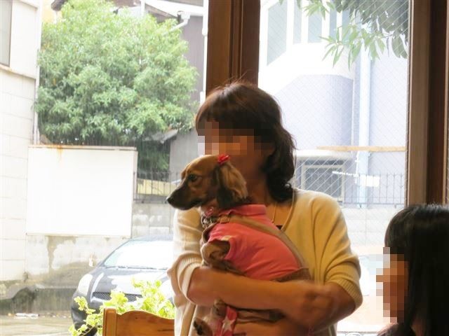 f:id:yasukazu01:20131021200323j:image