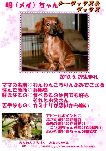 f:id:yasukazu01:20131021200349j:image