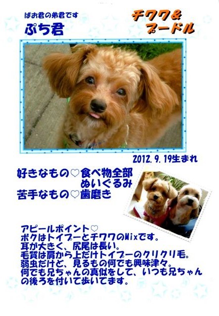 f:id:yasukazu01:20131021201609j:image
