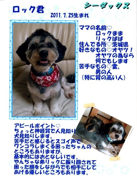 f:id:yasukazu01:20131021202128j:image