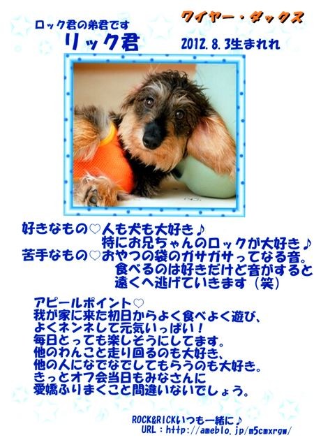 f:id:yasukazu01:20131021202139j:image