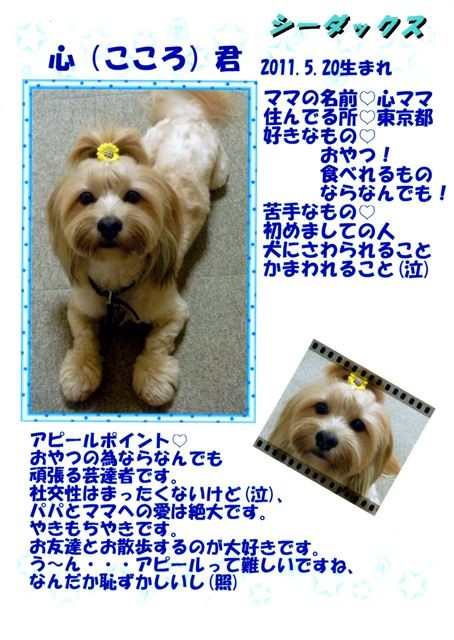 f:id:yasukazu01:20131021202323j:image