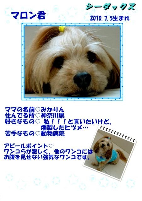f:id:yasukazu01:20131021202542j:image