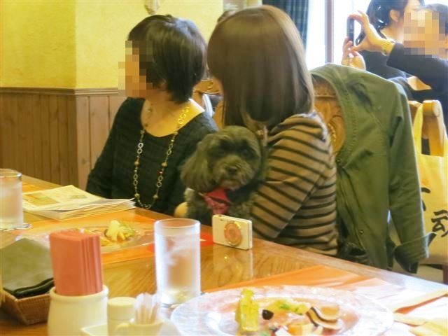 f:id:yasukazu01:20131021202634j:image