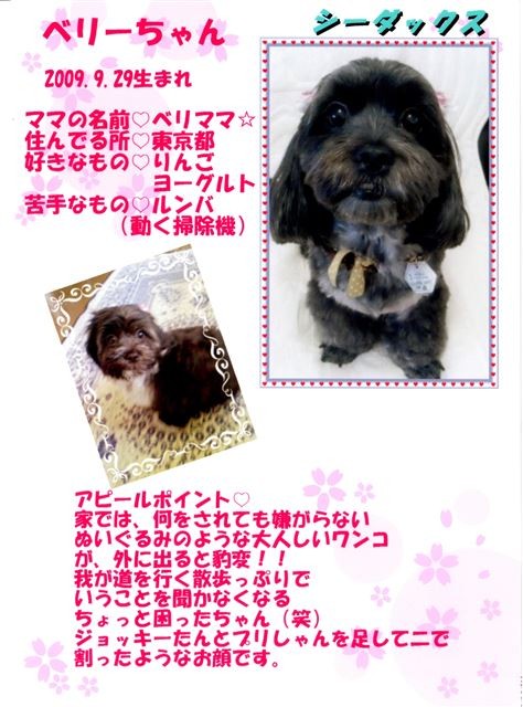 f:id:yasukazu01:20131021202650j:image