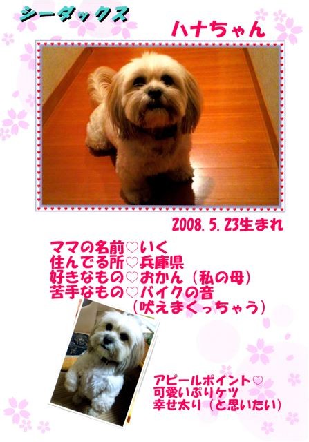 f:id:yasukazu01:20131021202903j:image