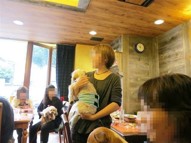 f:id:yasukazu01:20131021203015j:image