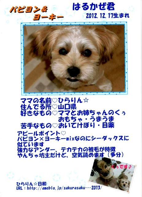 f:id:yasukazu01:20131021203116j:image