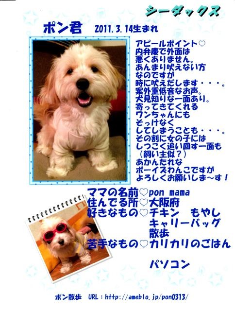f:id:yasukazu01:20131021203738j:image