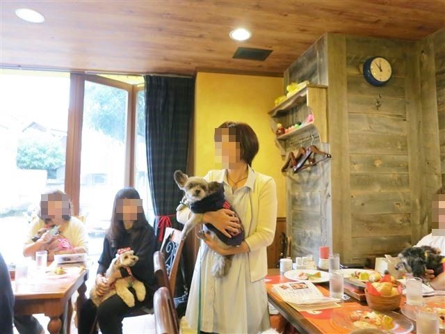 f:id:yasukazu01:20131021203832j:image