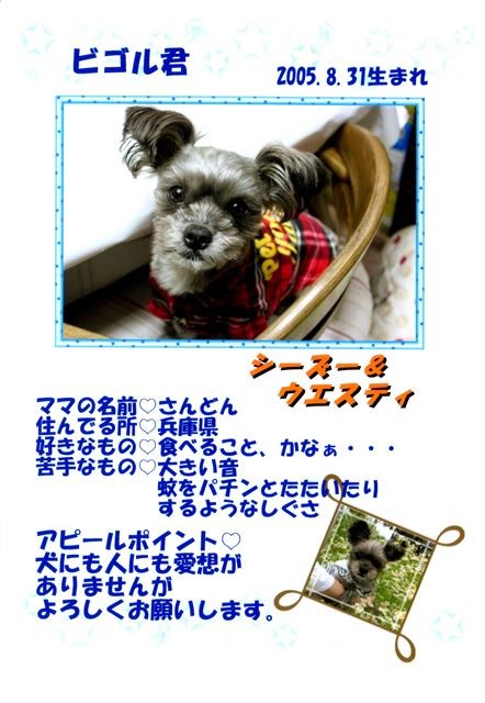 f:id:yasukazu01:20131021203858j:image