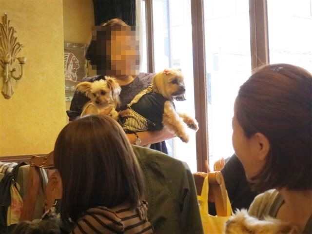 f:id:yasukazu01:20131021204224j:image