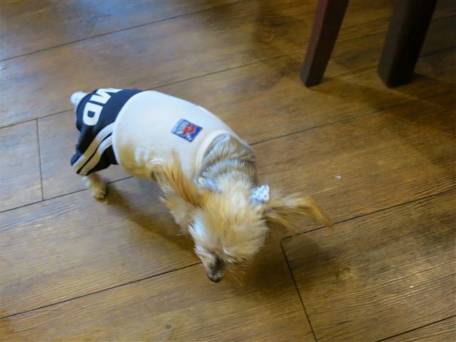 f:id:yasukazu01:20131021204241j:image