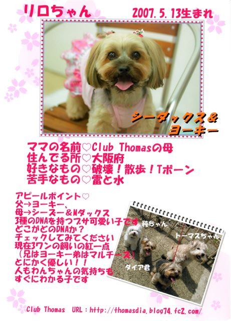 f:id:yasukazu01:20131021204310j:image