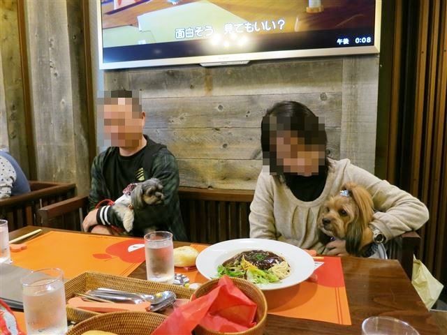 f:id:yasukazu01:20131021205111j:image