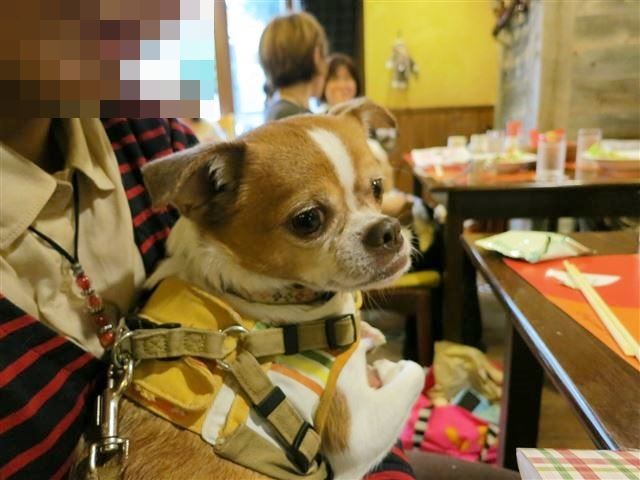 f:id:yasukazu01:20131021205454j:image