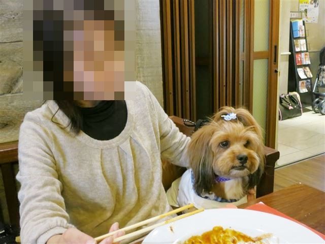 f:id:yasukazu01:20131021205944j:image