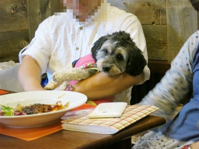f:id:yasukazu01:20131021210254j:image