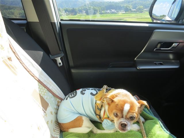 f:id:yasukazu01:20131026194717j:image