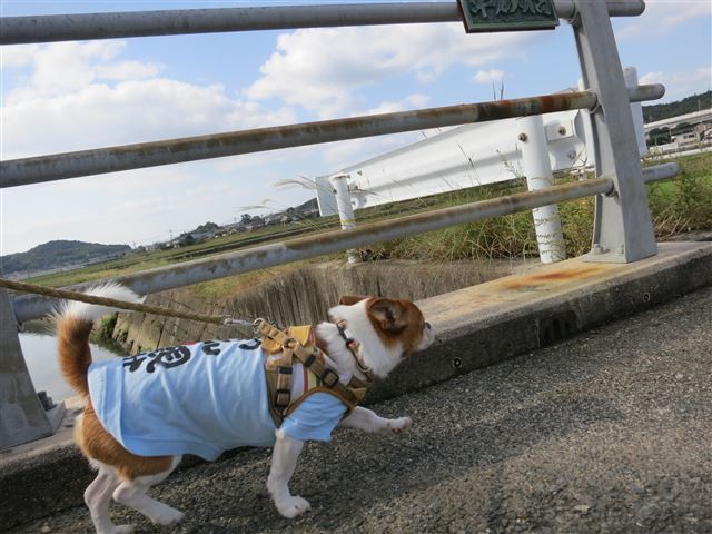 f:id:yasukazu01:20131026194925j:image