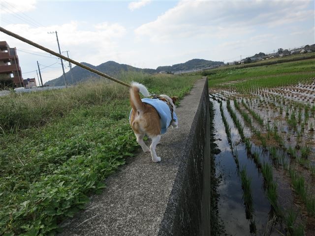 f:id:yasukazu01:20131026195137j:image