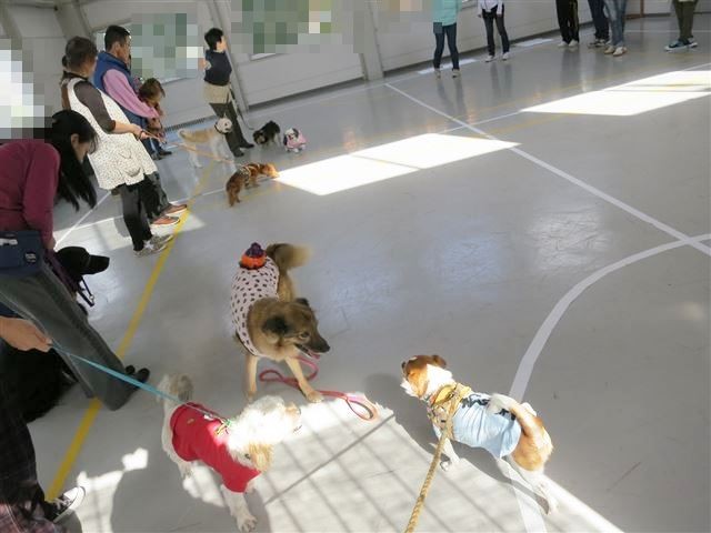 f:id:yasukazu01:20131026195720j:image