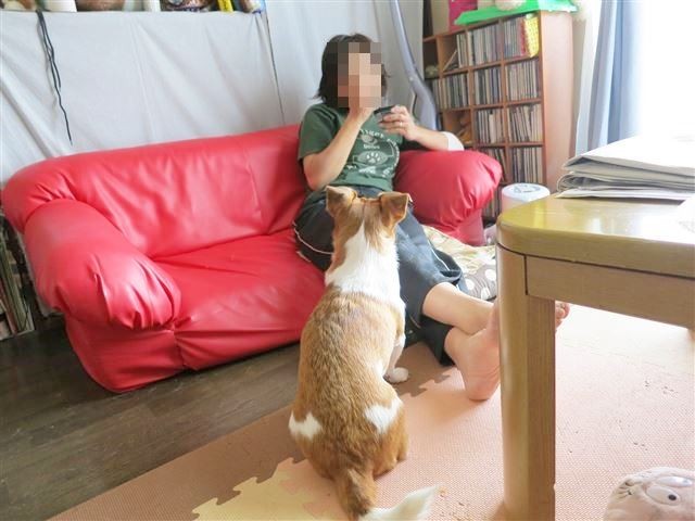 f:id:yasukazu01:20131026200953j:image