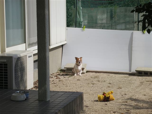 f:id:yasukazu01:20131029204950j:image