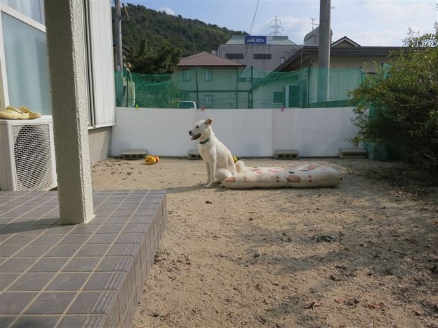 f:id:yasukazu01:20131030203533j:image