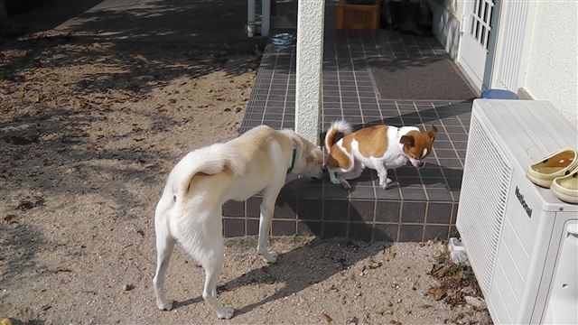f:id:yasukazu01:20131030203856j:image