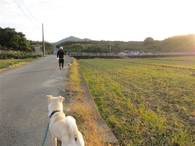 f:id:yasukazu01:20131112211949j:image