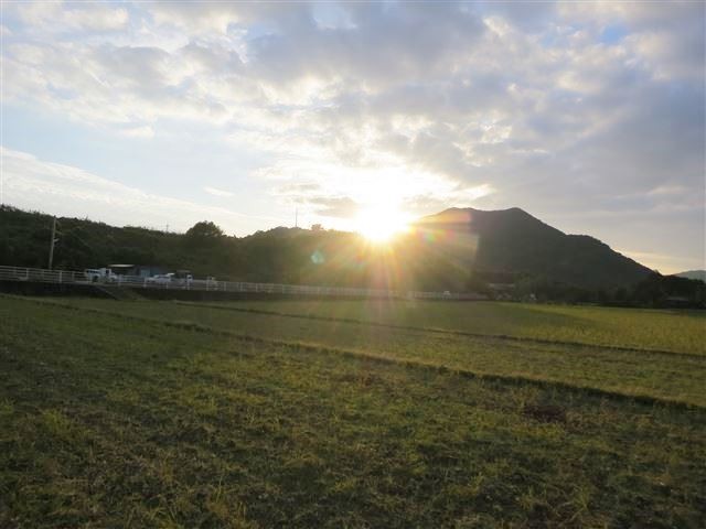 f:id:yasukazu01:20131112212056j:image