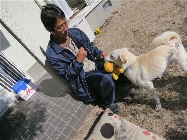 20131114212730