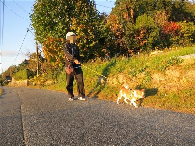 f:id:yasukazu01:20131115200402j:image