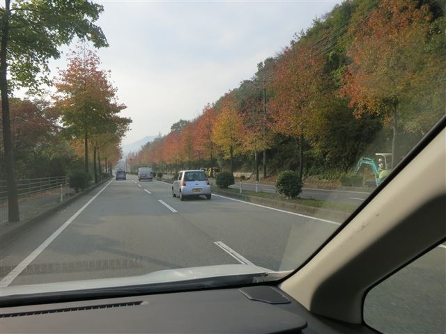 20131116195852
