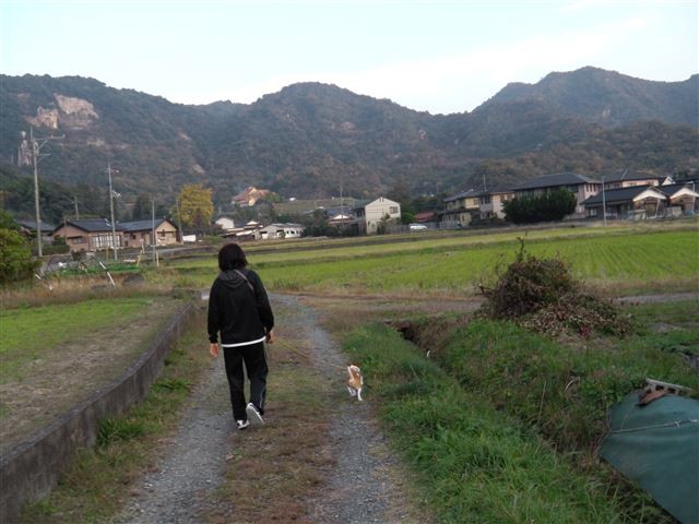 20131116202213
