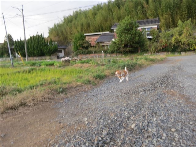f:id:yasukazu01:20131121214439j:image f:id:yasukazu01:20131121214439j:image