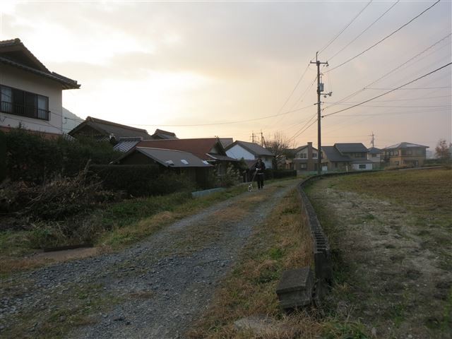 f:id:yasukazu01:20131207222749j:image