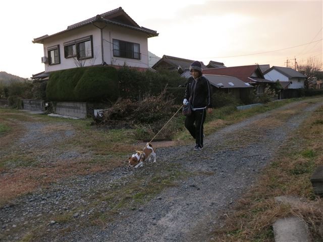 f:id:yasukazu01:20131207222941j:image