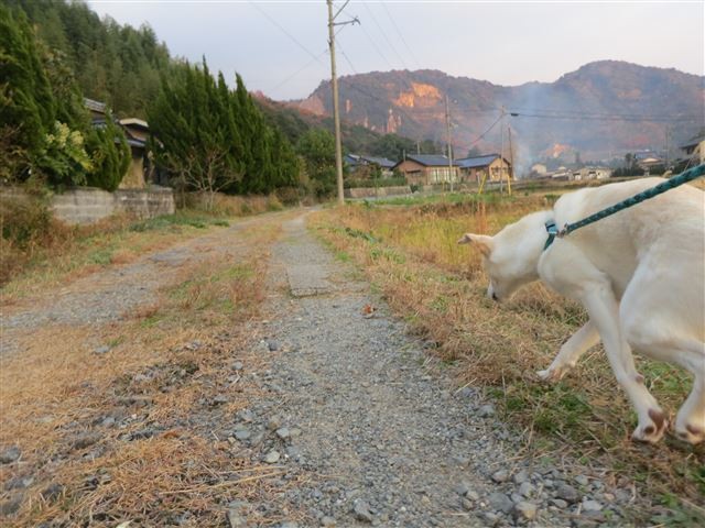 f:id:yasukazu01:20131207223236j:image